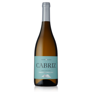 Dão DOC Cabriz Colheita Selecionada Sauvignon Blanc